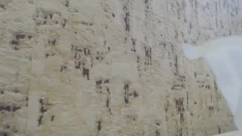 Mohito200711 online show from January 21, 10:41 am