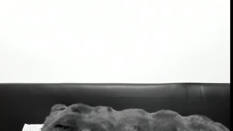 monicacure online show from October 27, 3:16 pm