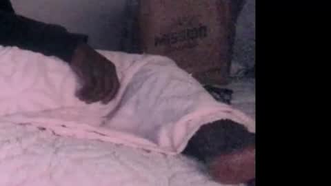 montydxxx2 online show from February 3, 6:40 am