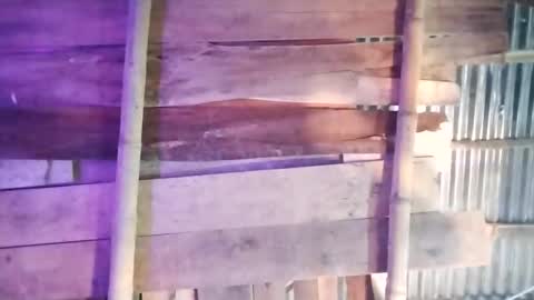 Snapshot of moon_roxee chatting on January 4, 7:13 pm moon_roxee online show from January 4, 7:13 pm