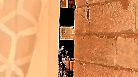 Sahid C online show from May 23, 1:48 pm