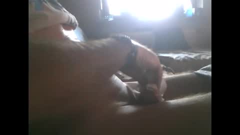 mowgli1977 online show from December 28, 8:37 am