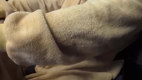 Snapshot of mrdelapampa chatting on November 26, 11:55 am mrdelapampa online show from November 26, 11:55 am