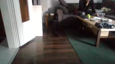 Nikola online show from February 17, 11:02 am