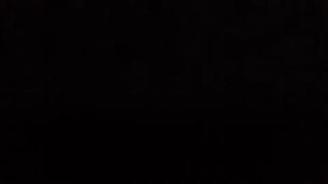 Nikola online show from November 11, 8:25 am