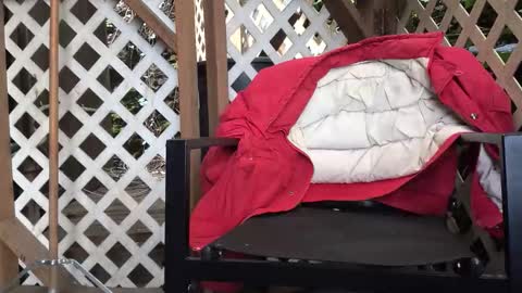 mrjohnlbrown online show from March 7, 7:11 pm