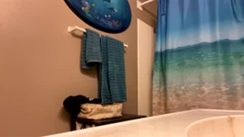 James online show from February 3, 1:59 am