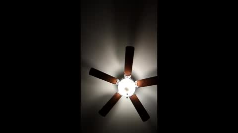 mrorange50187 online show from January 8, 11:30 pm