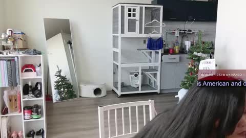 R o r i  SnapChat heyroriv2 wednesday - sunday Noon oclock mountain - 5pm mountain online show from November 1, 6:21 pm