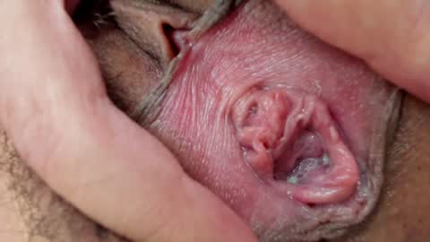 Annabelle  online show from January 26, 3:14 pm