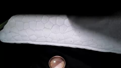 msmomy69 online show from November 18, 2:43 pm