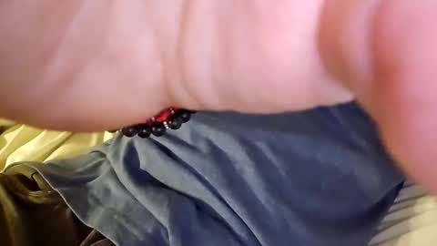 Snapshot of mtnclimber1 chatting on November 19, 10:54 pm mtnclimber1 online show from November 19, 10:54 pm