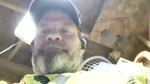 muddflapz online show from October 29, 12:24 am