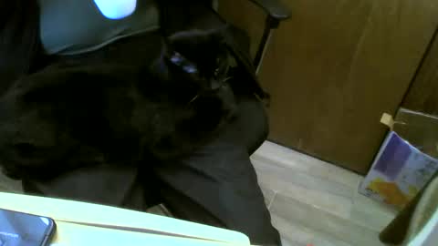 muller520 online show from January 23, 6:14 pm