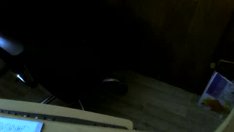 muller520 online show from February 1, 10:59 am