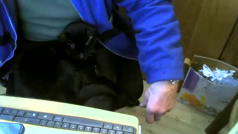 muller520 online show from February 22, 11:13 am