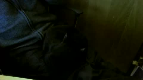 muller520 online show from March 18, 5:16 pm