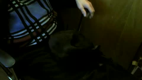 muller520 online show from March 27, 7:35 pm