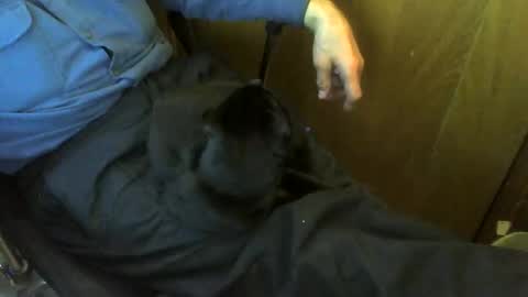 muller520 online show from April 20, 4:43 pm