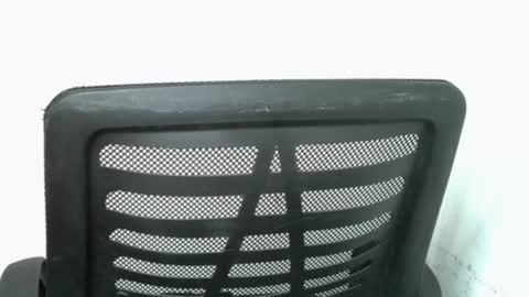 muscle_queen0 online show from February 18, 6:42 am