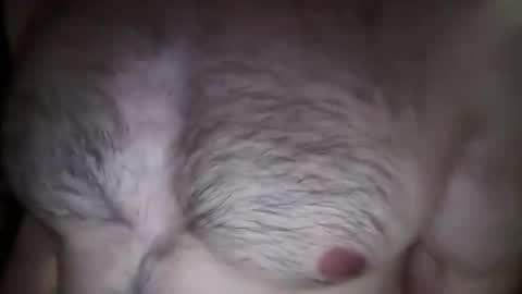 musclehair3 online show from February 26, 8:22 pm