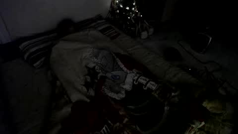 Snapshot of muse_online chatting on December 23, 8:00 am Muse Ali online show from December 23, 8:00 am