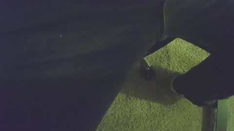 musicman2021 online show from April 4, 1:04 am