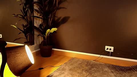 Maite online show from February 1, 5:58 pm