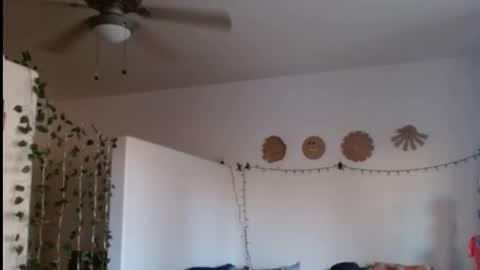 LA MARIPOSA DE MARICOPA online show from February 21, 12:38 am