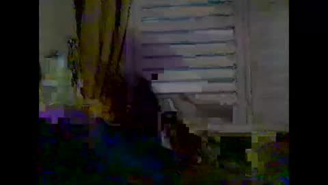 mycockissohard2021 online show from May 2, 3:55 am