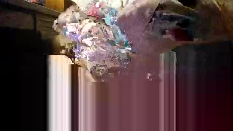 Snapshot of myhardlover chatting on December 4, 11:19 am Mmmm Feels Great online show from December 4, 11:19 am