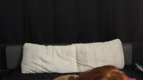 Snapshot of mymiesexy chatting on September 11, 10:10 pm mymiesexy online show from September 11, 10:10 pm