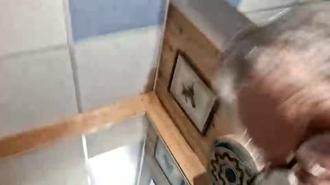 mymyselfandme online show from November 3, 6:03 am