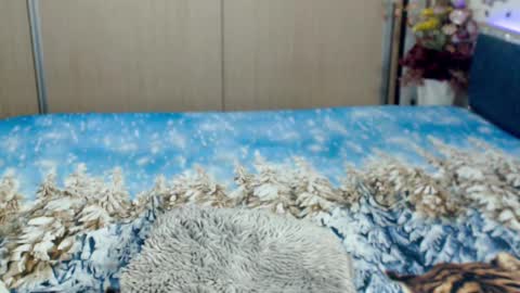 Myrabelle24 online show from March 5, 10:44 am