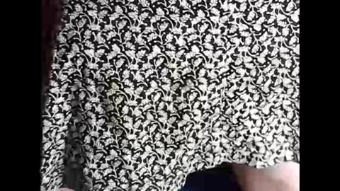 Snapshot of myself765 chatting on February 18, 7:09 pm Sissy Mike online show from February 18, 7:09 pm