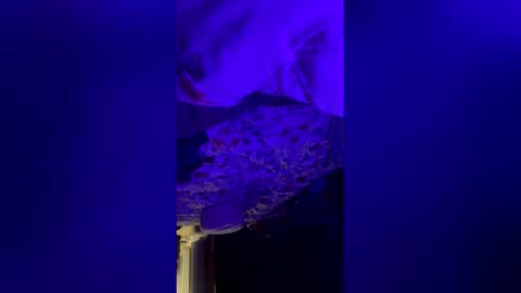 mysexiness0 online show from March 12, 3:23 am