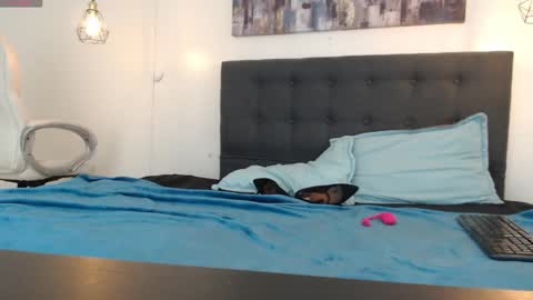 No Name online show from January 5, 1:26 pm