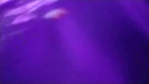 Snapshot of n298033 chatting on September 23, 5:05 pm n298033 online show from September 23, 5:05 pm