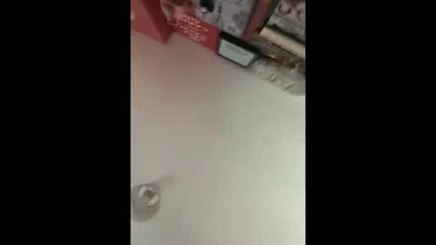 na56bb online show from April 25, 11:46 am