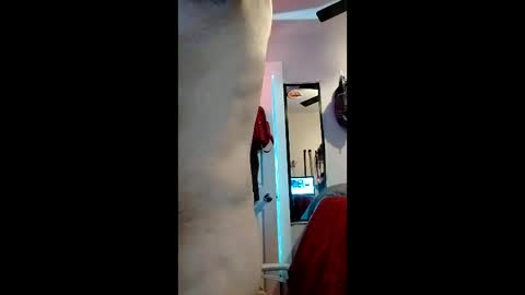 Snapshot of nachito650 chatting on December 19, 12:50 am cheesechip online show from December 19, 12:50 am