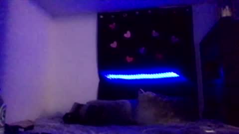 Missbellaaaxox online show from February 15, 8:13 am