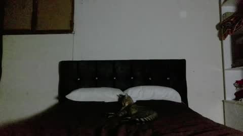 Snapshot of nahomy_oxox chatting on April 1, 2:23 am Nahomy online show from April 1, 2:23 am