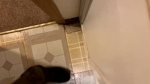 Snapshot of nairda2senoniuq chatting on December 20, 12:08 am nairda2senoniuq online show from December 20, 12:08 am