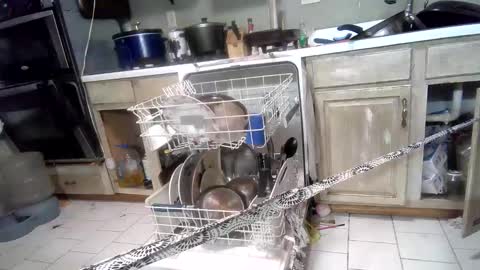 Snapshot of nakednate1780 chatting on March 3, 7:32 am nakednate1780 online show from March 3, 7:32 am