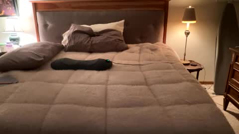 Masturbating boys need to be spanked. online show from April 12, 2:16 am