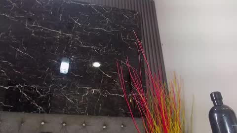 NALAROY online show from January 10, 3:16 pm