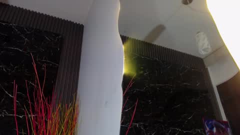 NALAROY online show from January 11, 12:40 pm