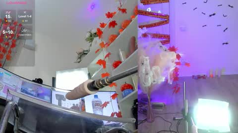 INSTAGRAM     bekkercat  online show from November 2, 11:12 am