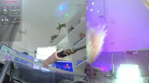 INSTAGRAM     bekkercat  online show from November 17, 11:38 am