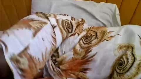 Snapshot of nastiestmomplay chatting on October 9, 7:17 am Sweet Ella online show from October 9, 7:17 am